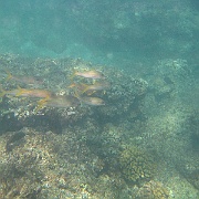 Picture 076